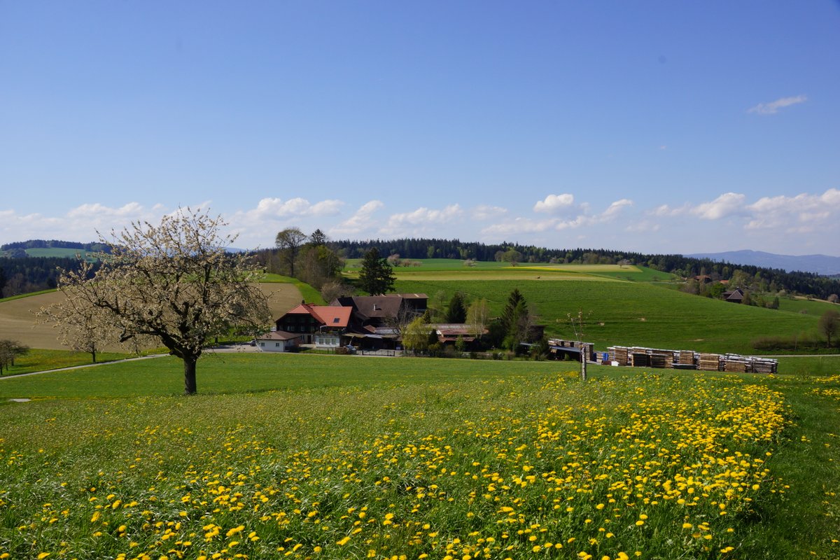 Liegenschaft in grüner Idille 8